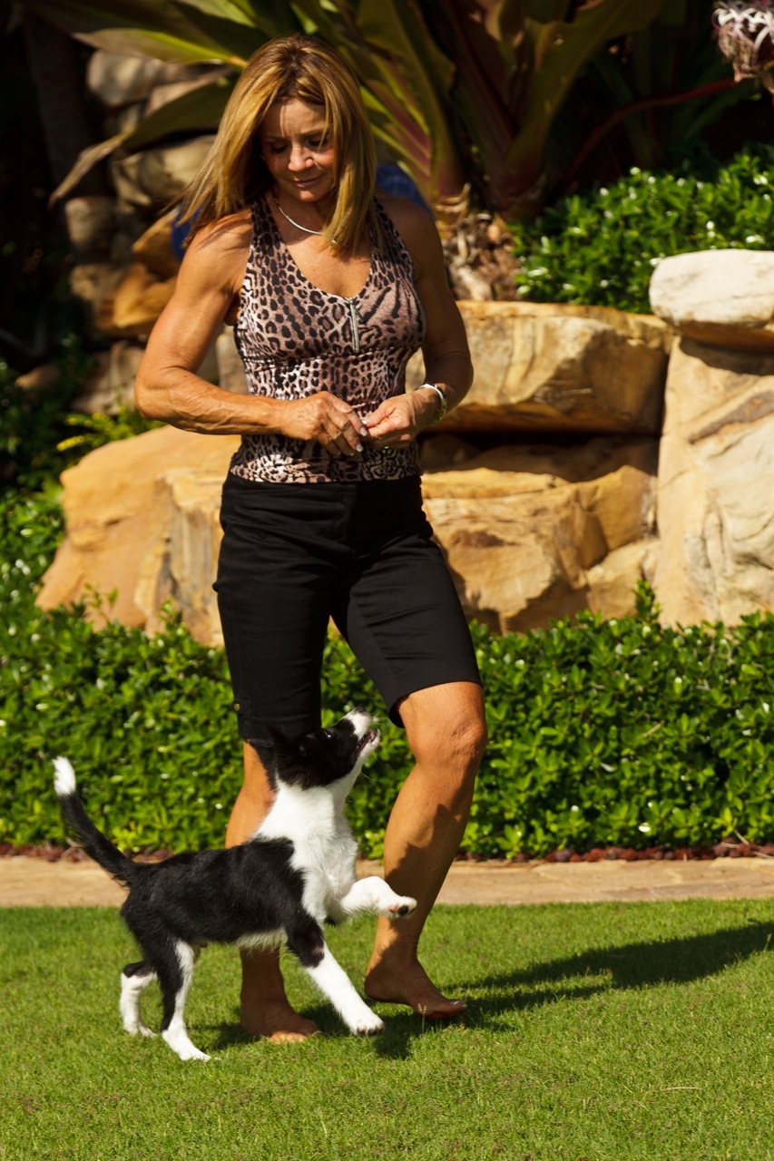 Neta Jones - Professional Dog Groomer in North Palm Beach, FL